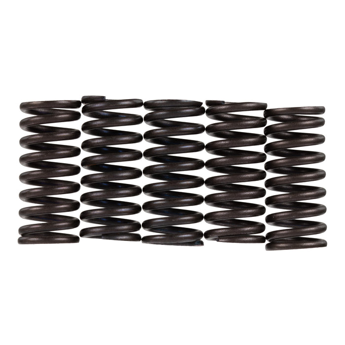 Premier Clutch Springs - Heavy Duty