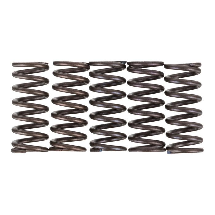 Premier Clutch Springs - Heavy Duty