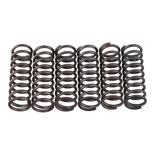 Premier Clutch Springs - Heavy Duty