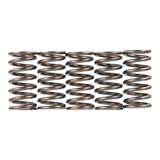 Premier Clutch Springs - Heavy Duty