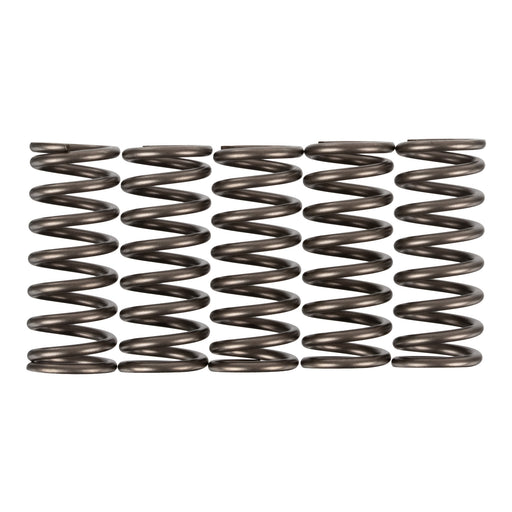 Premier Clutch Springs - Heavy Duty