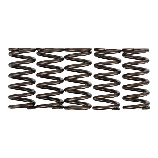 Premier Clutch Springs - Heavy Duty