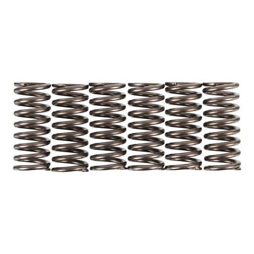 Premier Clutch Springs - Heavy Duty