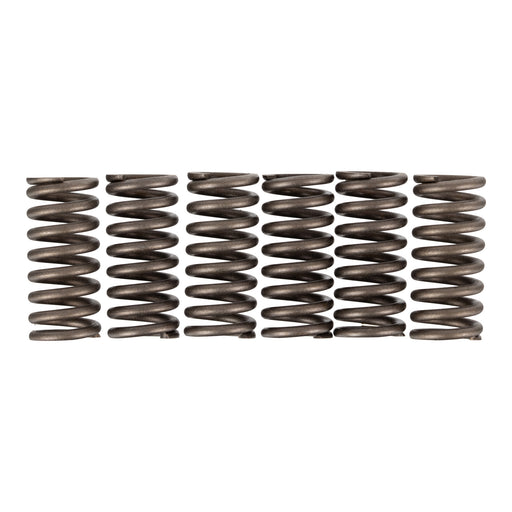Premier Clutch Springs - Heavy Duty