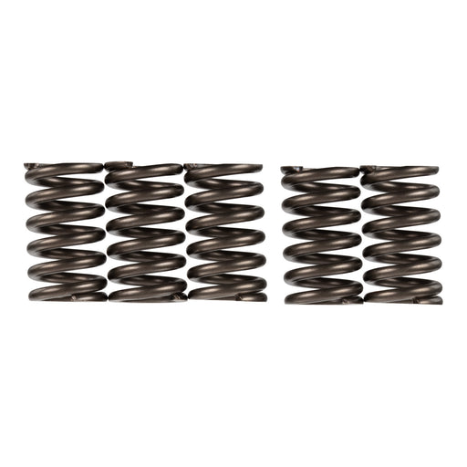 Premier Clutch Springs - Heavy Duty