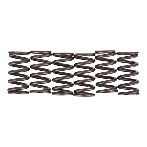 Premier Clutch Springs - Heavy Duty