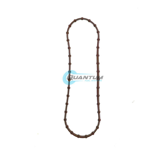 Quantum Fuel Pump Tank Seal Gasket