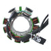 STATOR ASSTD POL MODELS 1997-2001 RFR FITMENTS (RM01007)