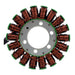 STATOR KAWASAKI NINJA 250 R '08-12 (RMS010-101490)