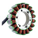 RM Stator Generator Stator Aprilia Models (RMS010-106004)