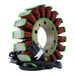 STATOR TRIUMPH STREET TRIPLE 675 '07-18' (RMS010-107391)