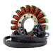 STATOR TRIUMPH DAYTONA 675 (RMS010-107393)