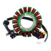 RM Stator Assorted Pol Models '21-2'3 (Refer to Fitments) (RMS010-107775)