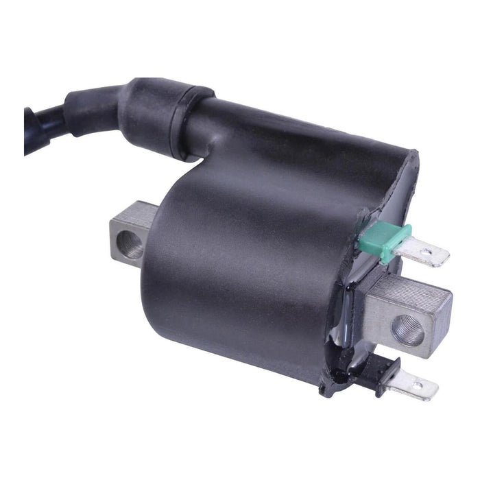 External Ignition Coil Assorted Polaris Models RFR Fitments