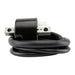 Ignition Coil - Polaris / Honda Models