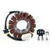 STATOR + KOKUSAN FLYWHEEL + PULLER KIT (RMS900-103880)