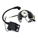 Stator + Rotor + Ignition Coil Kit (RMS900-107608)