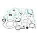 Vertex Complete Gasket Set with Oil Seals (8110028)