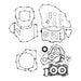 Complete Gasket Set with Oil Seals 8110032