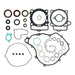 Complete Gasket Set with Oil Seals 8110059