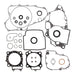 Vertex Complete Gasket Set with Oil Seals (811276)