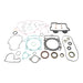 Vertex Complete Gasket Set with Oil Seals (811365)