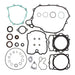 Vertex Complete Gasket Set with Oil Seals (811369)