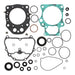 Vertex Complete Gasket Set with Oil Seals (811943)