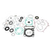 Complete Gasket Set with Oil Seals 811996