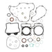 Vertex Complete Gasket Set with Oil Seals (811999)