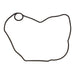 Ignition Cover Gasket Kit 816330