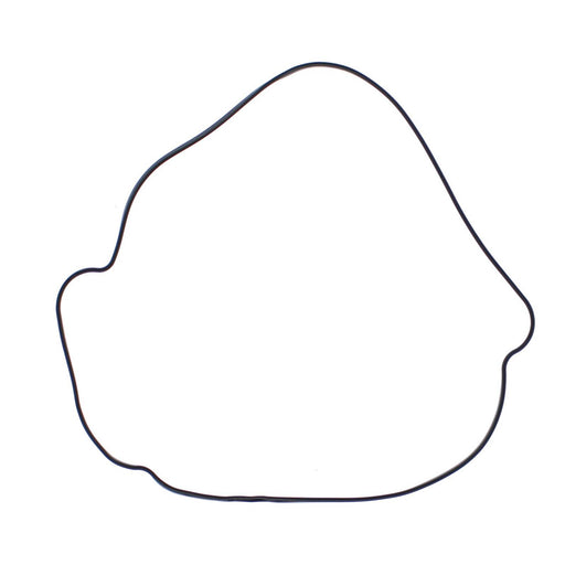 Outer Clutch Gasket Kit 817987