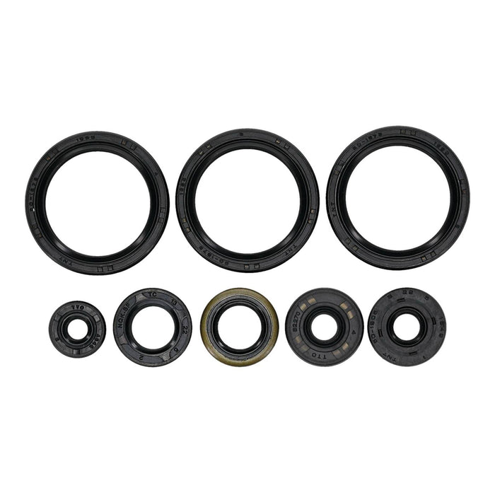Oil Seal Kit 822403