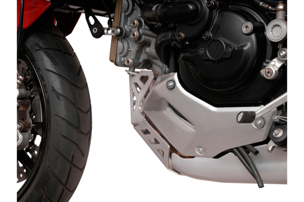Engine guard - Silver. Ducati Multistrada 1200 / S (10-14). SW-Motech
