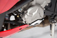 Engine Case Protector - Black/silver. BMW S1000R / RR / XR. SW-Motech